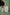 Feyre Chain Accessory Detailed Black Matte Satin Heeled Shoes