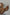 Trey Capsule Detailed  Tan Matte Slippers - PRE ORDER