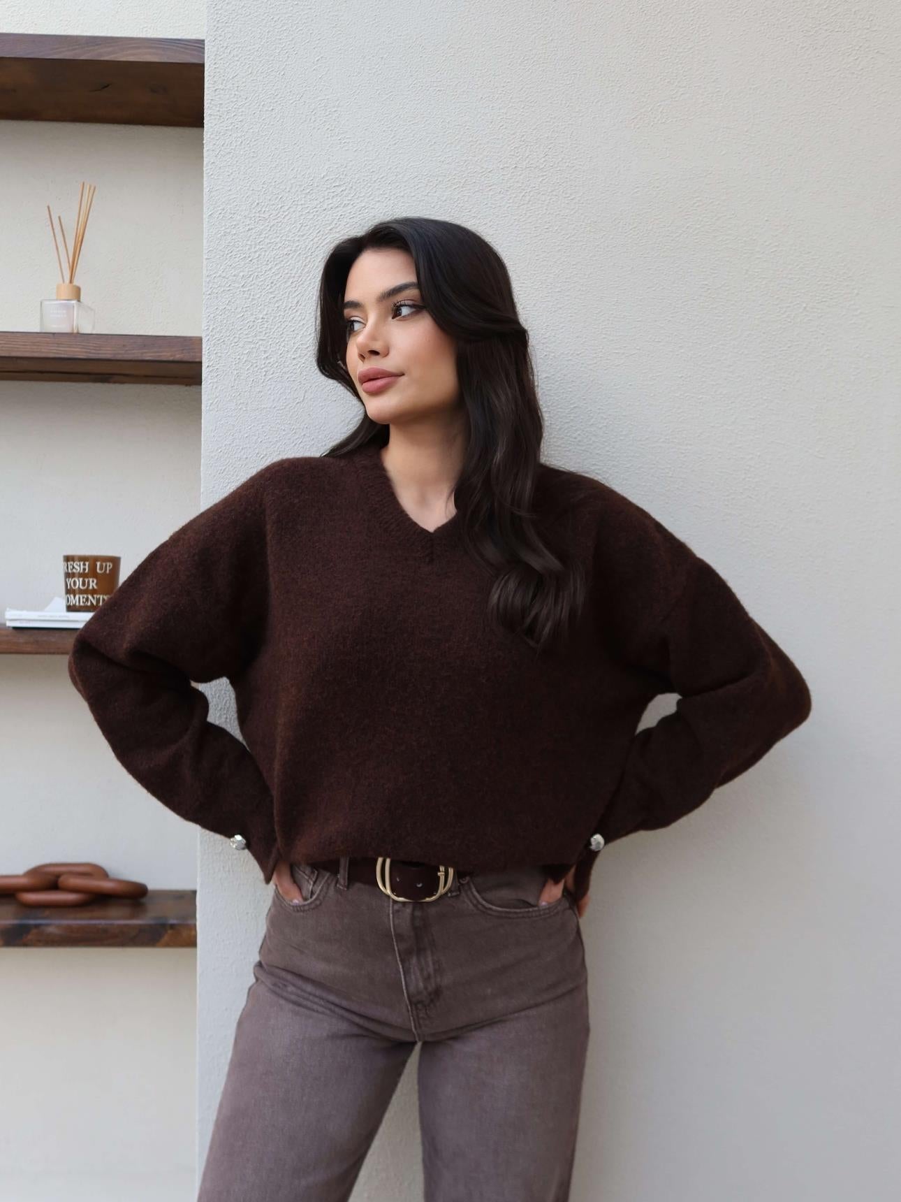 V-Neck Sleeveless Soft Sweater - Brown