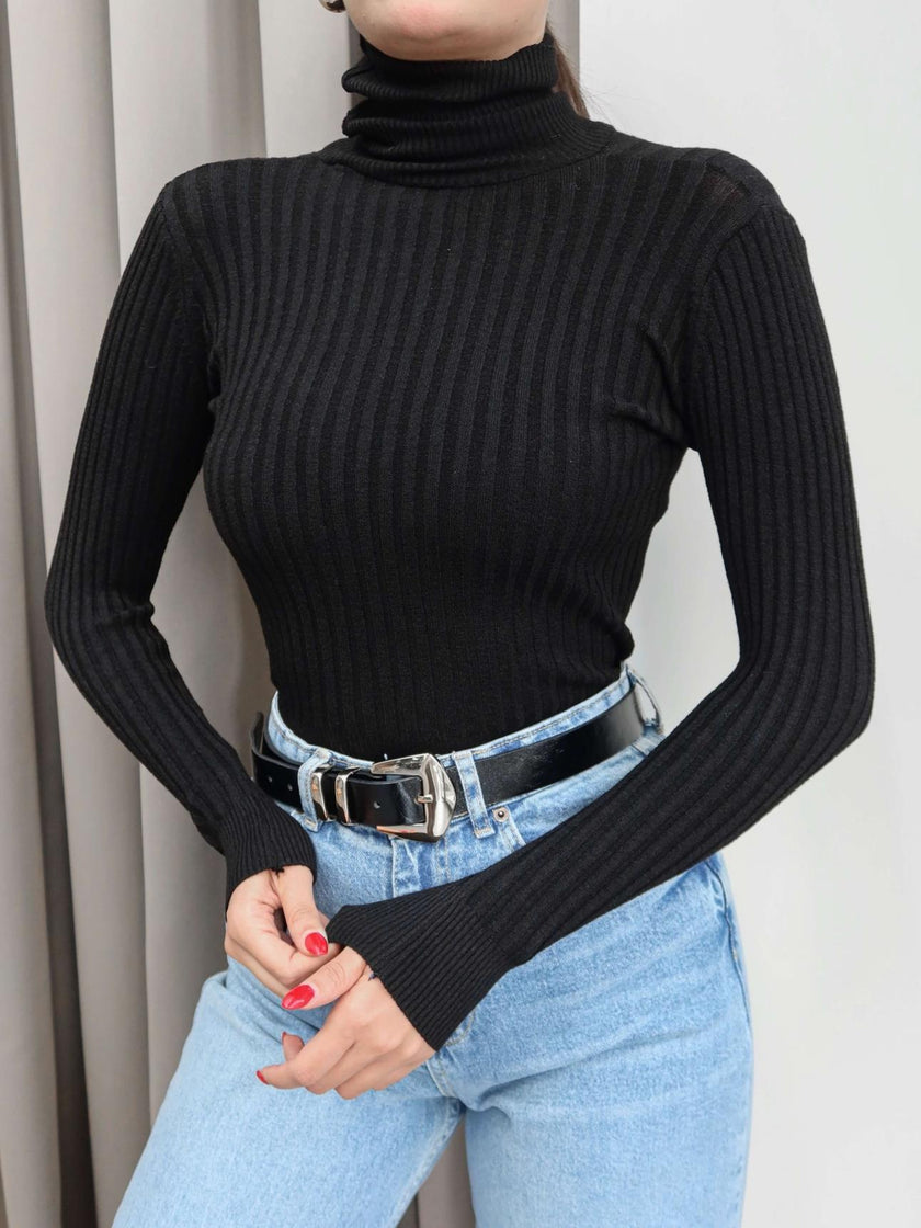 Ribbed Turtleneck Sweater