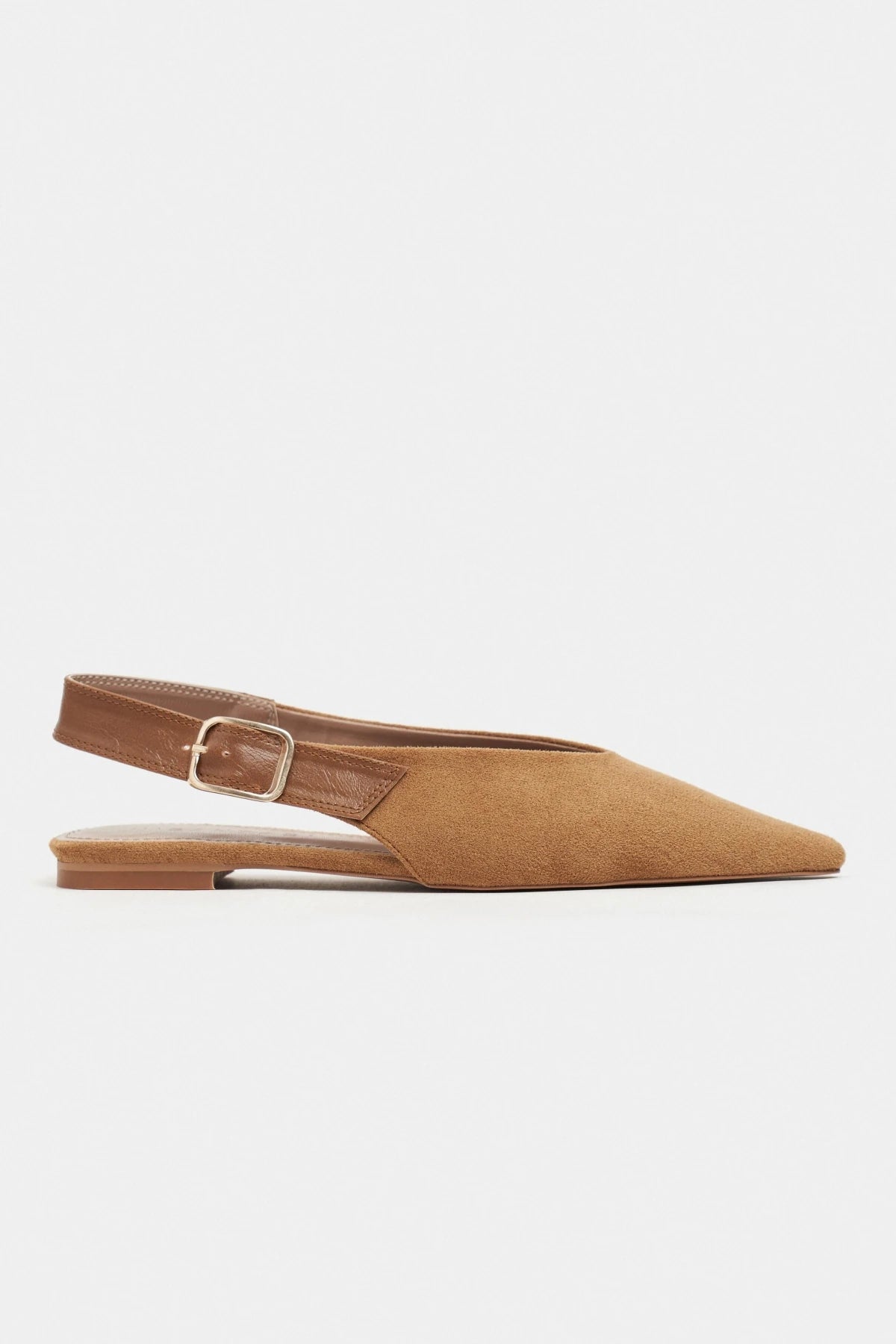 TESSA Tan Suede Pointed Toe Buckle Detail Low Heel Women’s Flats
